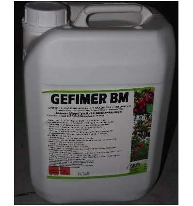 GEFIMER BM